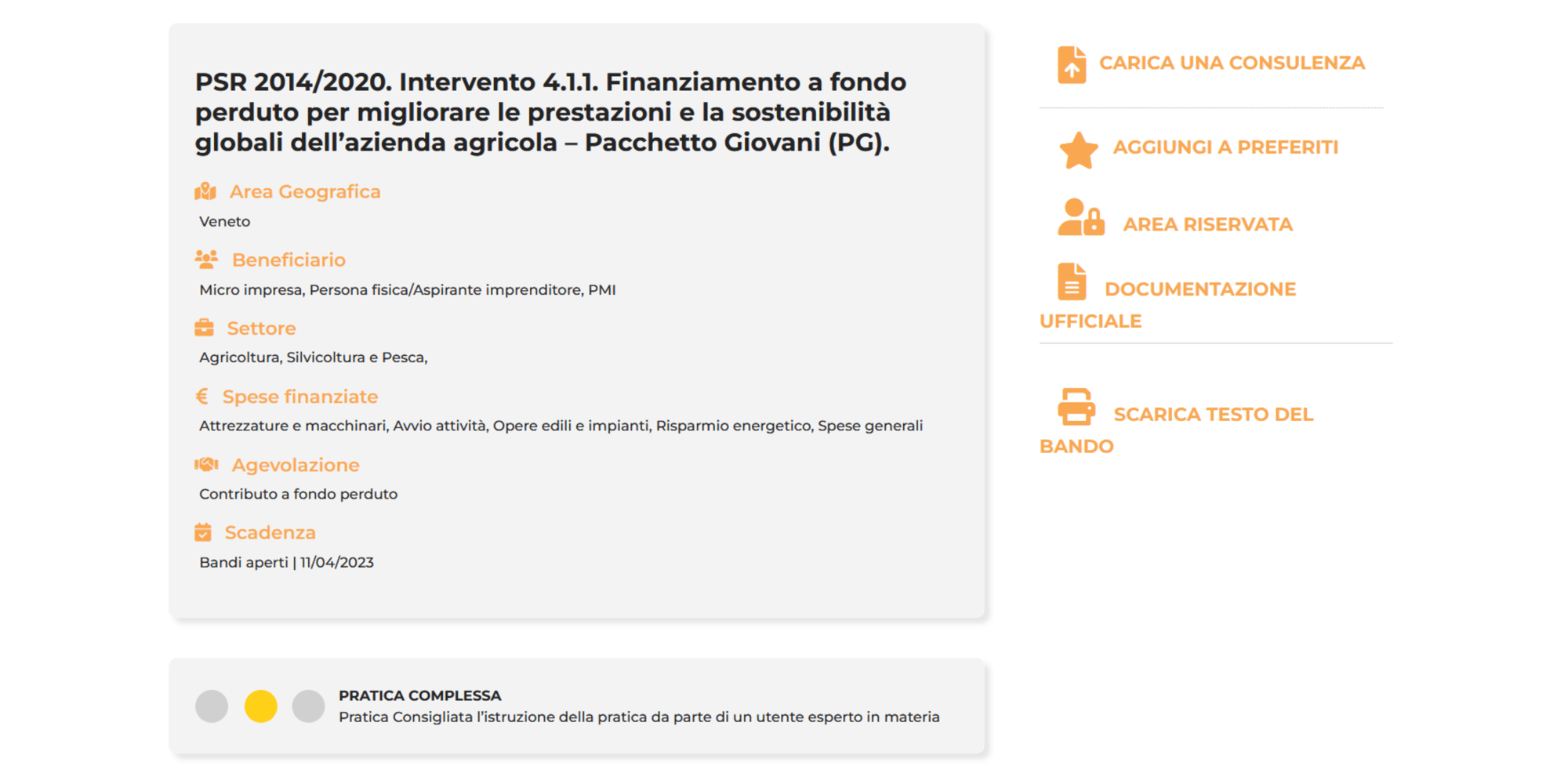 Progetto senza titolo (19)